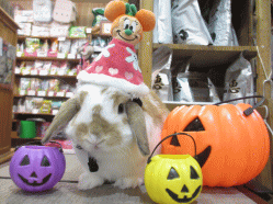 140914a2.gif