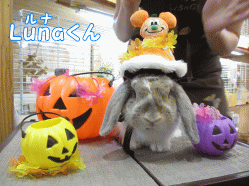 140914c1.gif