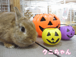 140914d1.gif
