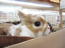 140914e2.gif
