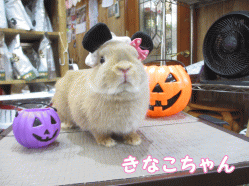 140914f1.gif
