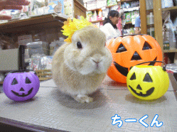 140914g1.gif