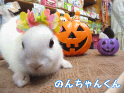 140914h1.gif