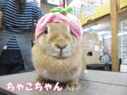 140914i1.gif