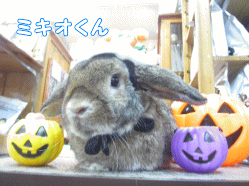140914k1.gif
