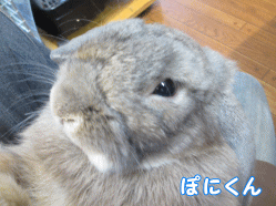140914m1.gif
