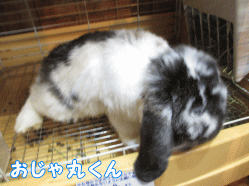 140914n1.gif