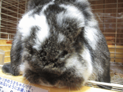 140914n2.gif