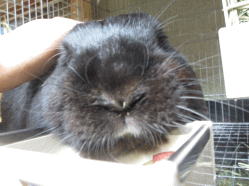 140914o2.gif