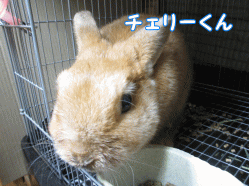 140914p1.gif