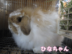 140914q1.gif