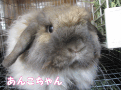 140914r1.gif