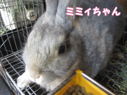 140914s1.gif