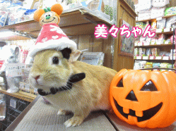 140915a.gif