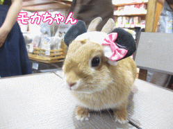 140915c.gif