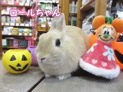 140915e.gif