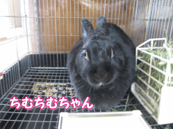 140915g.gif
