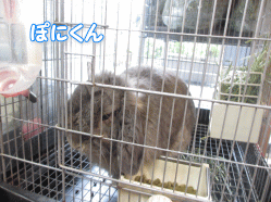 140915i.gif