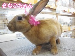 140916a.gif