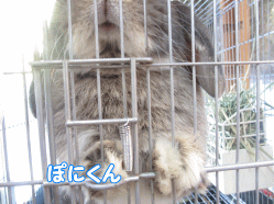 140916e.gif