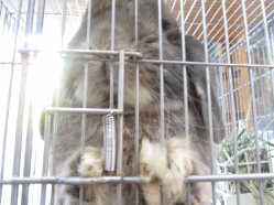 140916f.gif