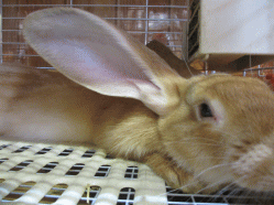 140916h.gif