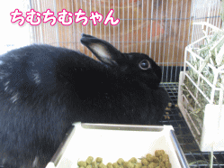 140916i.gif