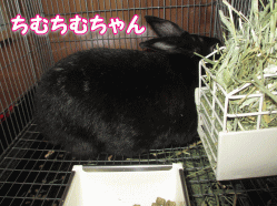 140918a.gif