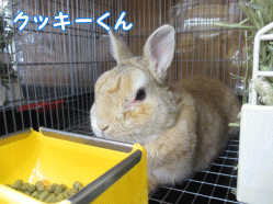 140919a1.gif