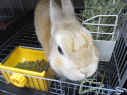 140919a2.gif