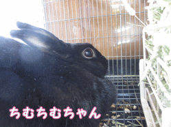 140919b1.gif