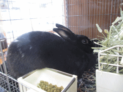 140919b2.gif