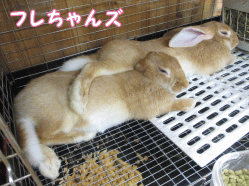140919c1.gif