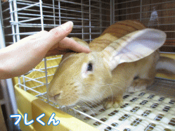 140919d1.gif