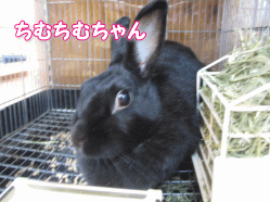 140920h.gif
