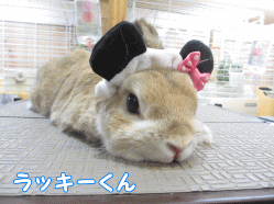 140921e1.gif