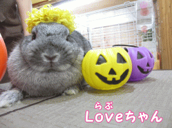 140921f1.gif