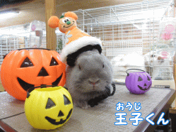 140921h1.gif