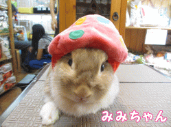 140921i1.gif