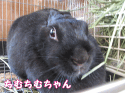 140921k1.gif