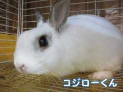 140921l1.gif