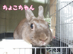 140921m1.gif