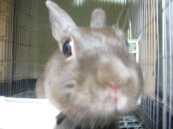 140921m2.gif