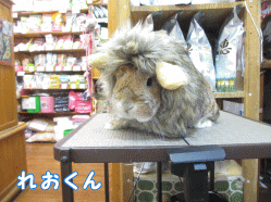 140923a1.gif