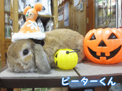 140923b1.gif