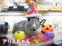 140923c1.gif
