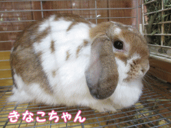 140923e1.gif