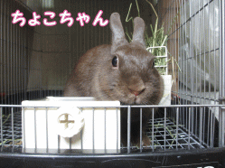 140923f1.gif