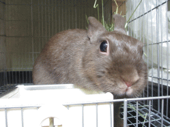 140923f2.gif