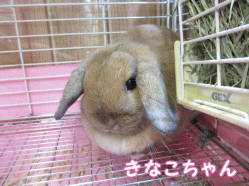 140923i1.gif